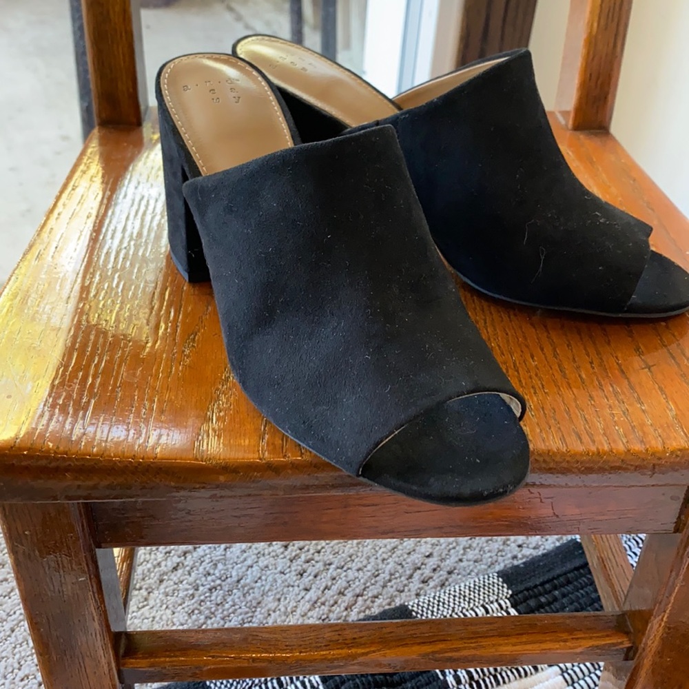 A New Day mules